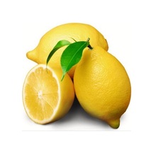 Tüplü Aşılı Verimli Kokulu Aromatik Enter Limon Fidanı