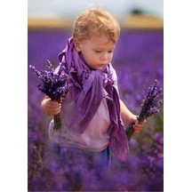 Tüplü Kokulu Aromatik Lavanta Fidanı