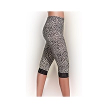 Leopar
