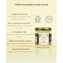 Erbal Taze Arı Sütü 30 Gr