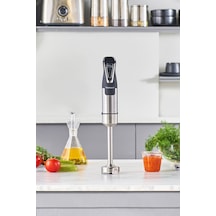Homend Handmaid 1964h Inox El Blenderı