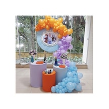 Pastel Balon Zincir Frozen Konsepte Uygun Beyaz