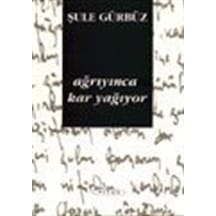 Ağrıyınca Kar Yağıyor / Şule Gürbüz