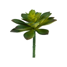 Yapay Mini Etli Echeveria Sukulent Yeşil 12 Cm-4833