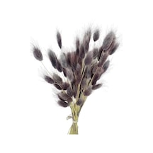 Kuru Çiçek Doğal Gri Lila Pamuk Otu 10gram 1. Kalite Şoklanmış Bozulmaz