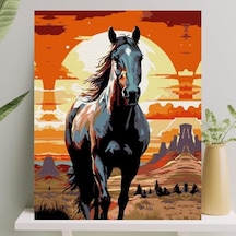 Sayılarla Boyama Tuval Seti Fırça Boya Dahil Çıtalı 40x50 Cm - Siyah İnci