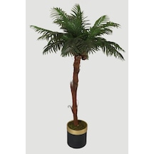 Büyük Metal Saksıda Dev Palmiye Ağacı 220 Cm 20 Yapraklı