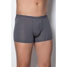 Dorea 2 Adet Erkek Desenli Gri Boxer (442956355)