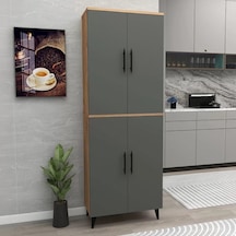Reyo Home Enda Raflı 4 Kapaklı Çok Amaçlı Dolap Çam- Antrasit