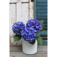 Hydrangea Mocnophylla Ortanca Çiçeği Fidanı-aşılı Tüplü Mavi
