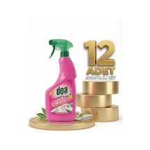 Doa Leke Çıkarıcı Sprey 12x750 Ml