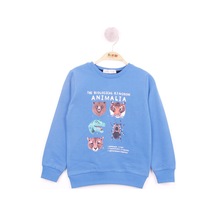 Toontoy Kids Toontoy Erkek Çocuk Relax Fit Bisiklet Yaka Animal Baskılı Sweatshirt - 2 İplik Saks