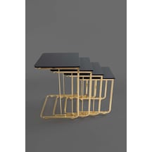Tekerlekli Veys Sehpa Gold 4 Lü Zigon Sehpa - Orta Sehpa - Yan Se (550697034)