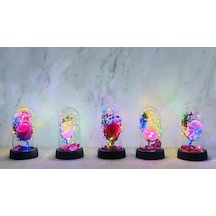 Işıklı Müzikli Romantik Büyük Gül Alk4998 11