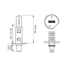 Ampül - Fiat 131, Ducato, 500, Panda, Grande Punto, Punto, Doblo, Bravo, Sandero, Duster, Logan, Spring, 159, Giulietta, Mito, 156, Spider, Gt, Brera