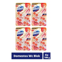 Domestos Tuvalet Bloğu Yıldız Çiçeği & Ejder Meyvesi 4 x 100 G