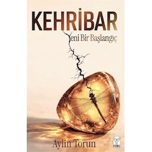 Kehribar & Yeni Bir Başlangıç / Aylin Torun