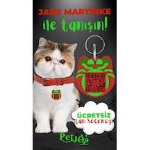 Petjoo 5.Jane Martinke Yeşil-Kırmızı Qr'lı Kedi Künyesi