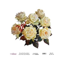 Cadence Evrensel Pirinç Dekopaj Kağıdı - Uc-063