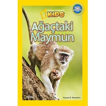 National Geographic Kids Ağaçtaki Maymun Society Beta Kids