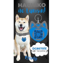 Petjoo 19.Hachiko Mavi-Gri Qr'lı Köpek Künyesi