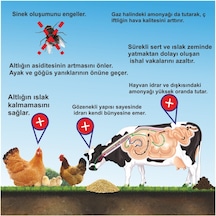 Zeopak Zeolit Hayvan Altlığı-100 Kg