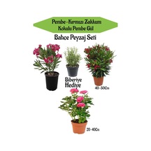 Bahçe Peyzaj Seti 1 Adet Pemebe 1 Adet Kırmızı Zakkum+1 Adet Pembe Gül Fidanı+ Hediye Biberiye