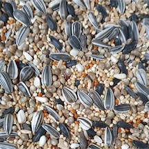 Papağan Yemi 1 Kg