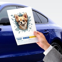 Zvnm Fulcar Chiuahua Araç Stickerı Zcv12