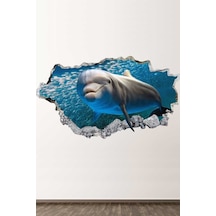 Yunus Balığı 3d Full Hd Modern Duvar Sticker Seti