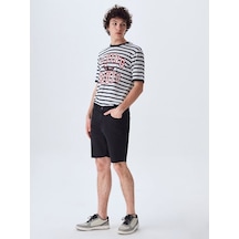Ltb Stephano Regular Bermuda (545802644)