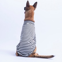 Siyah Marseille Orta-büyük Irk Çizgili Köpek Sweati Köpek Kıyafeti