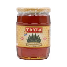 Yayla Süzme Çam Salgı Balı 720 G 57505337