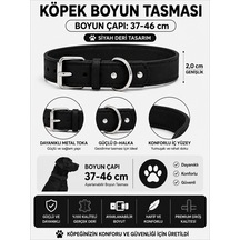Deri Köpek Boyun Tasması 37-46 Cm 2 Cm Metal Tokalı D Halkalı Ayarlanabilir - Siyah Çok Renkli