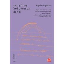Sen Güneş Kokuyorsun Daha! - Haydar Ergülen - Kırmızı Kedi