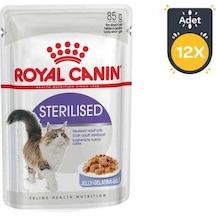 Royal Canin Sterilised Jelly Pouch Kısırlaştırılmış Yetişkin Kedi Yaş Maması 12 x 85 G