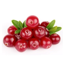 Cranberry Tohumu Turna Yemişi Tohumu Ekim Seti 5 Adet Tohum + Toprak + Saksı