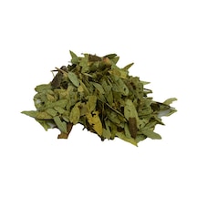Sinameki Yaprağı Doğal 100 Gr Paket