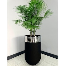 Elegant Dekoratif Krom Darbuka Siyah Saksı 70cm