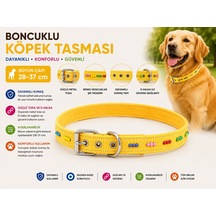 Boncuklu Köpek Boyun Tasması 28-37 Cm Ayarlanabilir Metal Tokalı D Halkalı - Sarı Çok Renkli