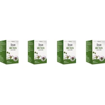 Ocean Milk Thistle 30 Tablet 4'lü Paket