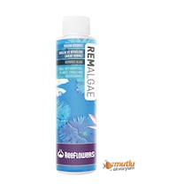 Reeflowers Rem Algea 500 ML ( Yosun Giderici )