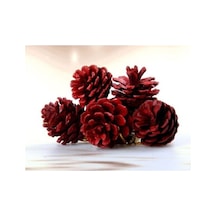 Artte Yılbaşı Ağaç Süsü Kozalak 4 Cm 6 Parça