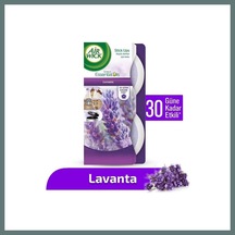 Lavanta