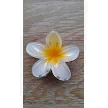 Bayan Renkli Lotus Dişli Toka krem