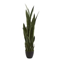 Kılıç Çiçeği Paşa Kılıcı 40-60 Cm Peygamber Kılıcı Ev Bitkisi Ofis Bitkisi Salon Bitkisi