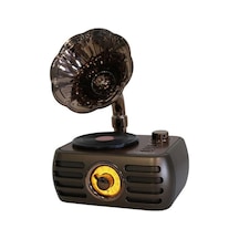 Everton Rt-704 Gramafonlu Bluetooth Fm-usb-tf-aux Şarjlı Nostaljik Radyo