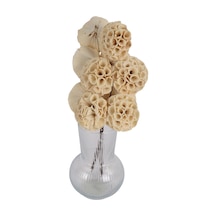 Yapay Çiçek Sitesi Doğal Shola Büyük Lotus 35 Cm 5li Açık Kahverengi