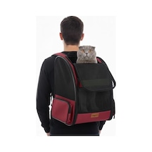 571 Collections Pugalo Airmove Premium Kedi Köpek Taşıma Çantası, Silinebilir, Yırtılmaz Fileli, Bükülmez Gövde, Sırt Çantası Tipi Siyah Açık Altın