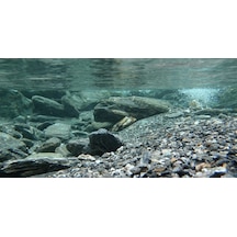 Kanki Pet Kp1256331 Akvaryum Arka Fon Yapıştırma 125 X 63 Cm
